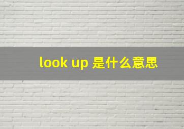 look up 是什么意思